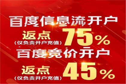 SEM推广优化中的关键词策略——以某品牌为例